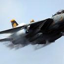 F14 Tomcat Wallpaper Images APK