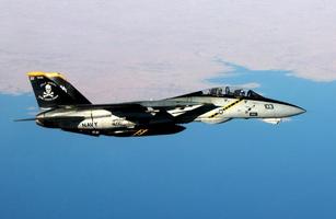 F14 Tomcat Wallpaper Images 스크린샷 2