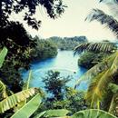 Tropical Jamaica Wallpapers APK