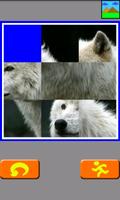 Back To Original (Animal) تصوير الشاشة 1