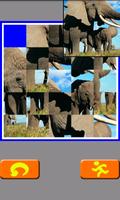 Back To Original (Animal) تصوير الشاشة 2