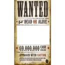 Wanted Poster Photo Frames Editor aplikacja