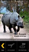 Assam Travel Guide 海报