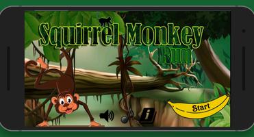 Squirrel Monkey Runing Poster