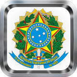 Constituição Federal icône