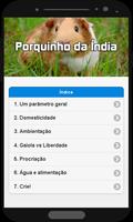Porquinho da Índia โปสเตอร์