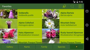 AlpineFlower Finder - Europe screenshot 1