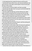 Webster Bible تصوير الشاشة 2