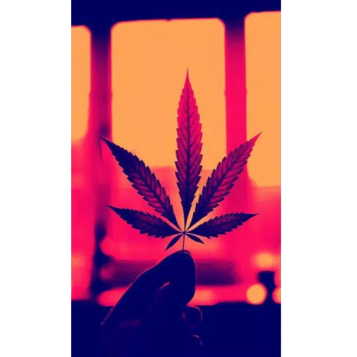 Weed Wallpaper APK for Android Download