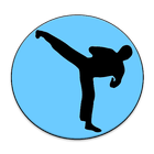 Kung Fu dictionary icon