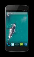 Whales Free Video Wallpaper capture d'écran 2