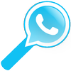 WhatStalker: Whatsapp online icône