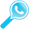 WhatStalker: Whatsapp online icon