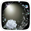 White Rose Theme APK