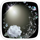 White Rose Theme Zeichen