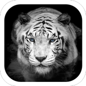 White tiger coolness theme icon