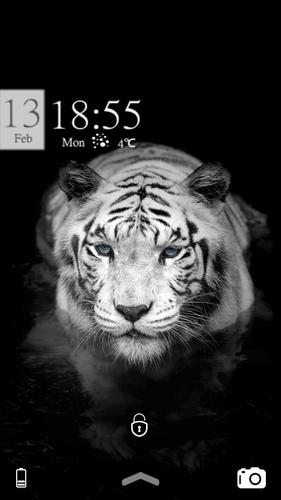 Harimau Putih Kesejukan Tema For Android Apk Download Increases vulnerability to critical attacks while used.) harimau putih kesejukan tema for