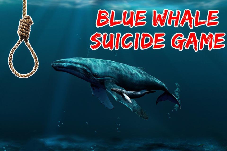 Blue Whale Suicide Challenge Guide APK للاندرويد تنزيل