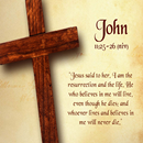 500 Popular Bible Verses (NIV) APK