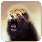 Wild Lion Theme icône