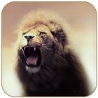 Wild Lion Theme icon