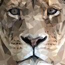 الغاز حيوانات البرية - فك رموز APK