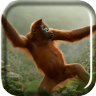 Wild Dance Crazy Monkey LWP icône
