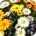 Wildflowers Live Wallpaper