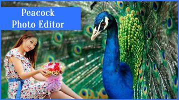 Peacock Photo Editor capture d'écran 3