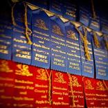 Win a Reflections Contest