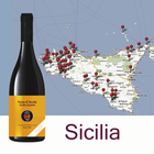 WineCode Sicilia simgesi