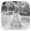 Winter Snow Theme APK