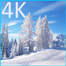 L'hiver 4K LWP APK