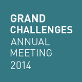 Grand Challenges 2014 Meeting Zeichen