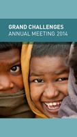 Grand Challenges 2014 Meeting poster