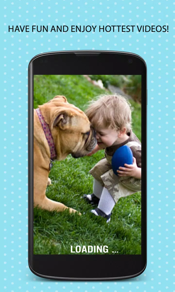 Hot Animal Video APK for Android Download Hot Animal Video APK for Android Download