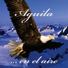 FM 107.7 Aguila 圖標