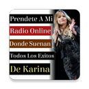 Radio Karina La Princesita APK