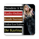 Radio Karina La Princesita-APK