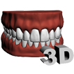 Dental Arch 3D