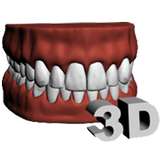 Dental Arch 3D icon