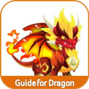 Guide for Dragon APK