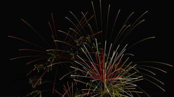 Fireworks(autoplay,tap screen) Affiche