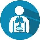 Human Anatomy icon