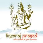 Lingarajprasad.com icône
