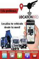 Locationbird постер