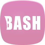 BASH Designer Labs int.