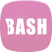 BASH Designer Labs int. icon
