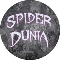 Spider Dunia poster