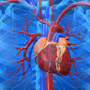 Cardiovascular System APK